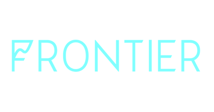 PORTFOLIO Csp DAO - Frontier