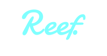 PORTFOLIO Csp DAO - Reef